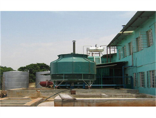 ce approved peanut oil making machine for mexico in zimbabwe