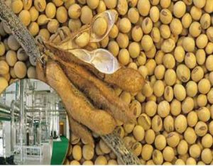 Soybean oil production line